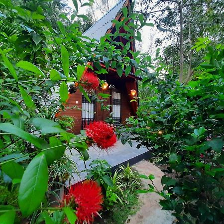 The Otunna Guest House Sigiriya Exterior foto